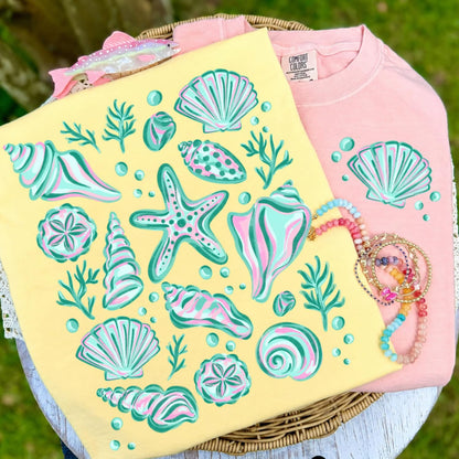 Colorful Seashells