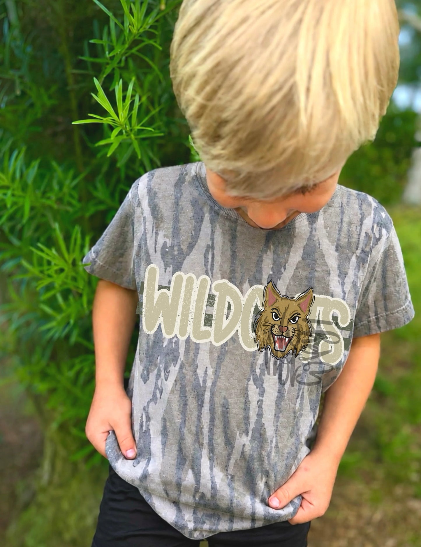 Boy Wildcats